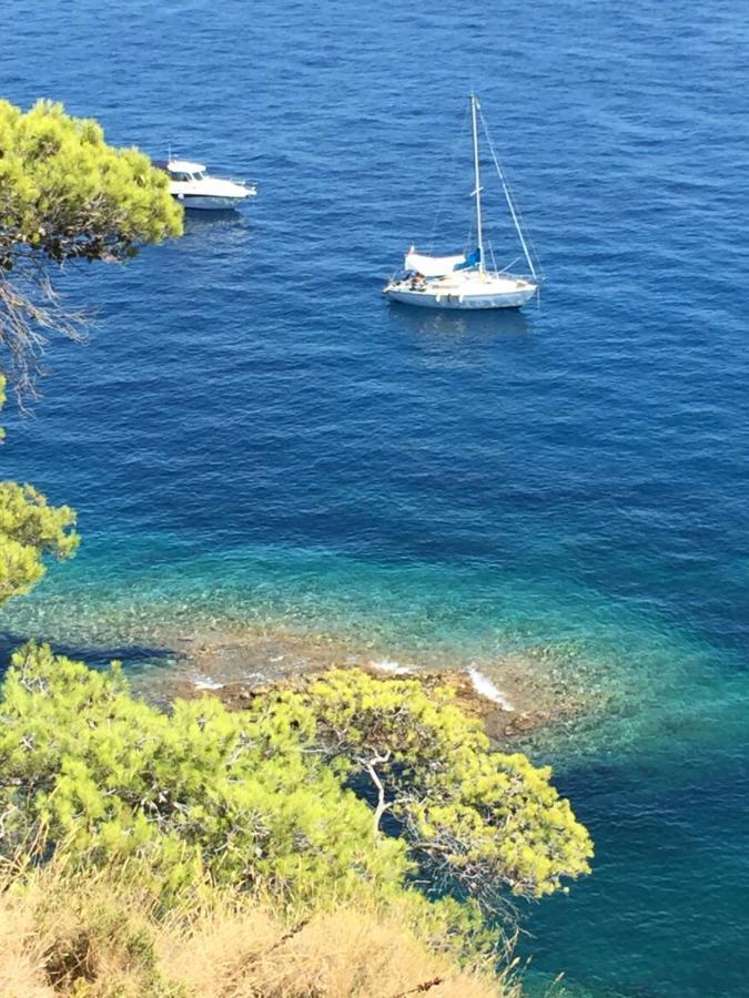 Studio Pirate Vue Mer - Soleil Levant La Ciotat Leilighet Eksteriør bilde